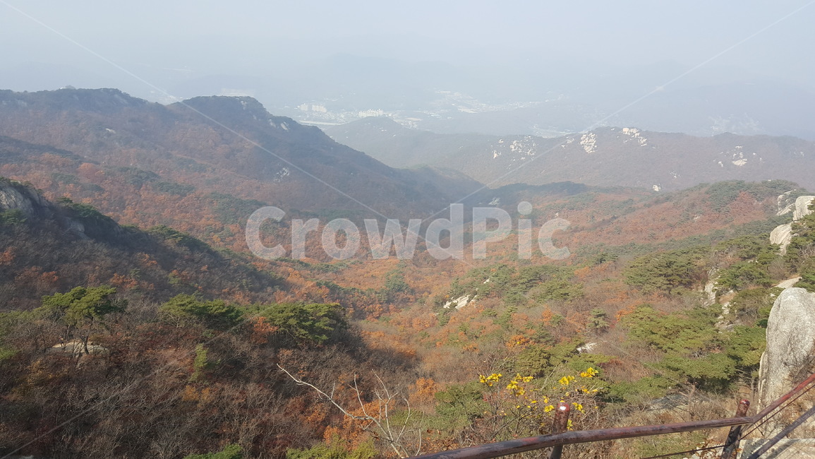 산,단풍,가을,정상,산등성