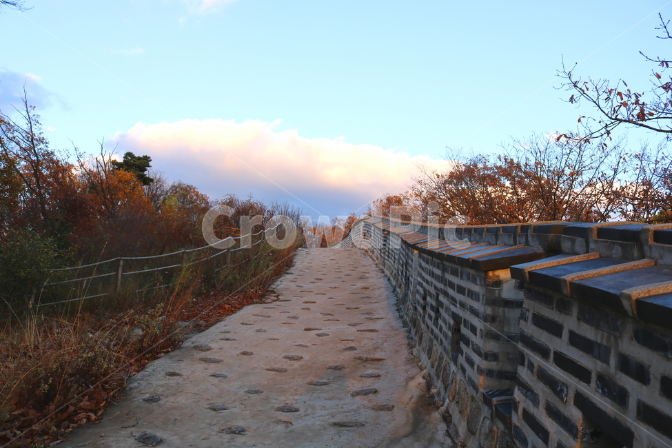 남한산성,산성,성벽,자연,풍경,산,가을,단풍,나무,공원,가을,계절,fall,autumn,season,한국전통,한국문화,korean traditional,korean culture,건축물,건물외관,exterior,building,structure,architecture,construction,handrail,난간,banister,path,통로,railing