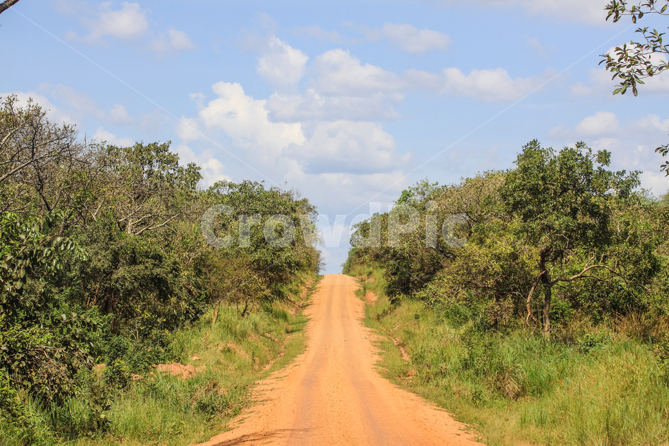 아프리카,우간다,풍경,자연,여행,하늘,길,자연,풍경,nature,landscape,해외,외국,세계,foreign,oversea,world,세계자연풍경,해외자연풍경,외국자연풍경,world nature landscape,road,도로,gravel,자갈,dirt road,흙길,outdoors,옥외,ground,바닥