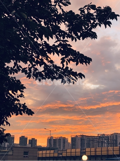 nature,자연,outdoors,옥외,dusk,황혼,redsky,붉은하늘,dawn,새벽,sunset,일몰,sky,하늘,감성