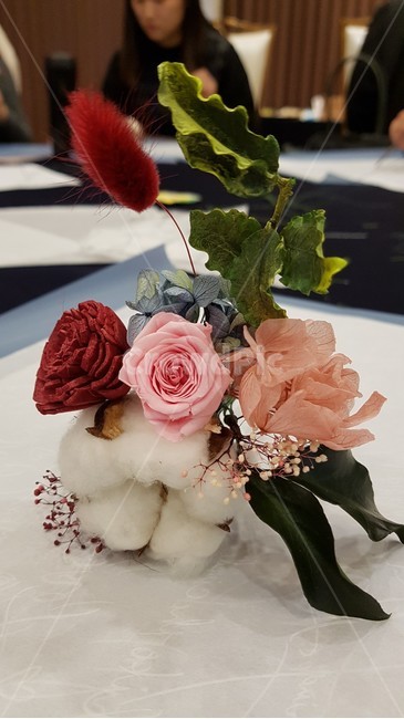 꽃,목화,blossom,plant,분홍,조화