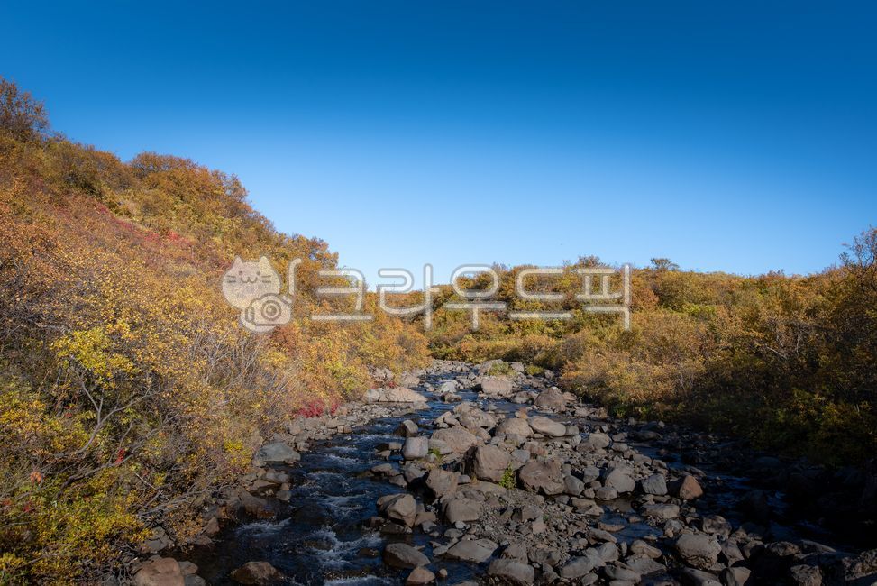 아이슬란드,iceland,유럽,europe,북유럽,northeurope,자연,nature,해외,overea,풍경,landscape,가을,autumn,fall,gravel,자갈,dirtroad,흙길,물,water,개울,brook