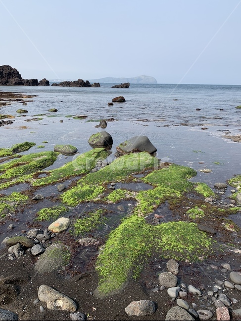 제주도,성산일출봉,제주도바다,자연,바다,해변,제주도자연,자갈,자갈해변