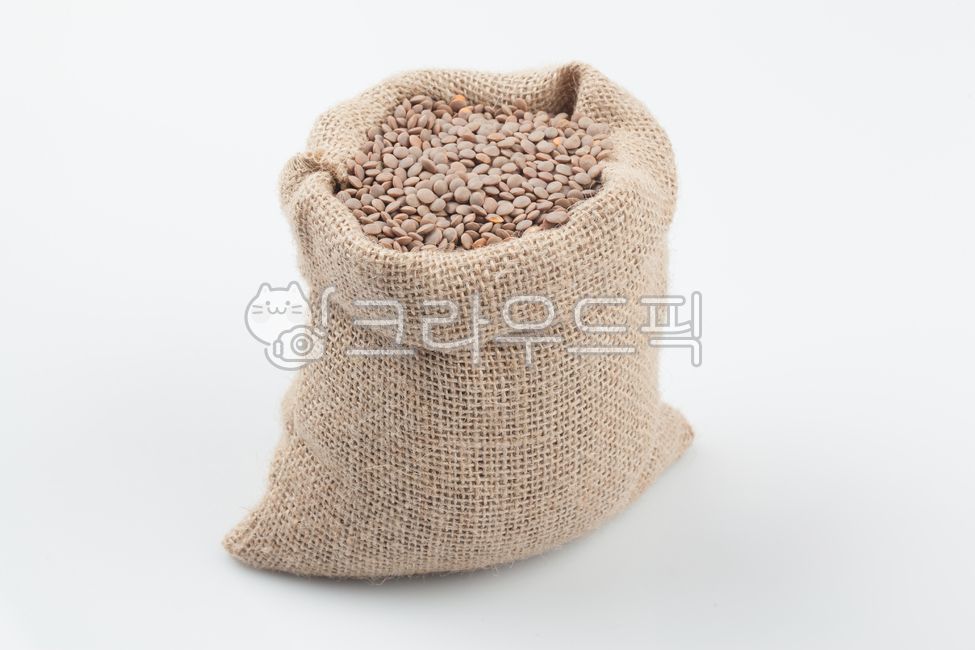 렌틸콩,콩,곡식,곡류,단백질,식이섬유,다이어트,렌즈콩,비타민,슈퍼푸드