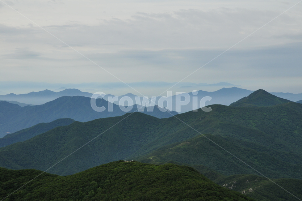 덕유산,운해,능선,연봉,신록,자연,풍경,nature,landscape,outdoors,옥외,mountain range,산맥,mountain,산,slope,경사