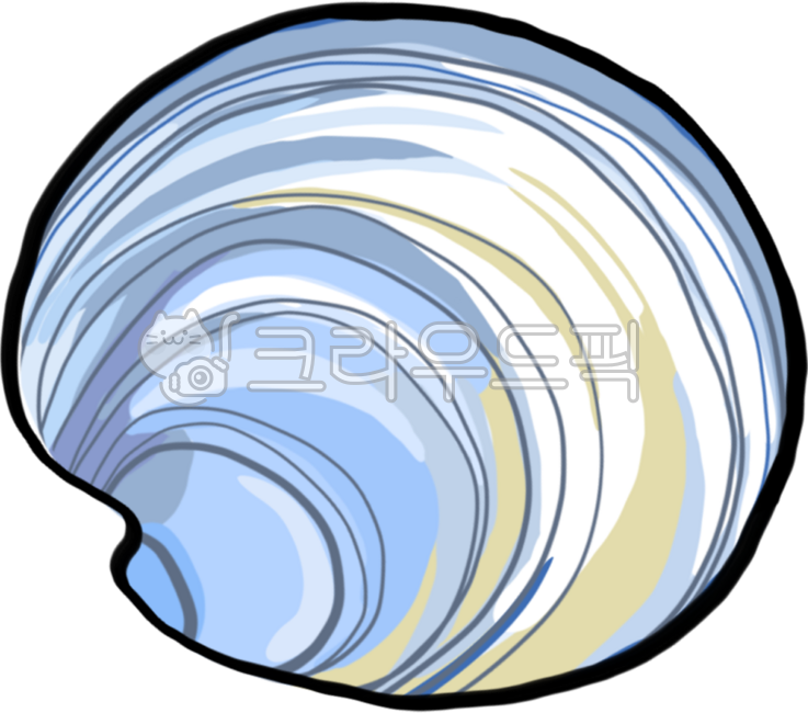 Rice cake clam,clam,rice cake clam illustration,clam illustration,clam,clamillustrate,seafood,seaweed,seafood illustration,seafood,seafoodillustrate