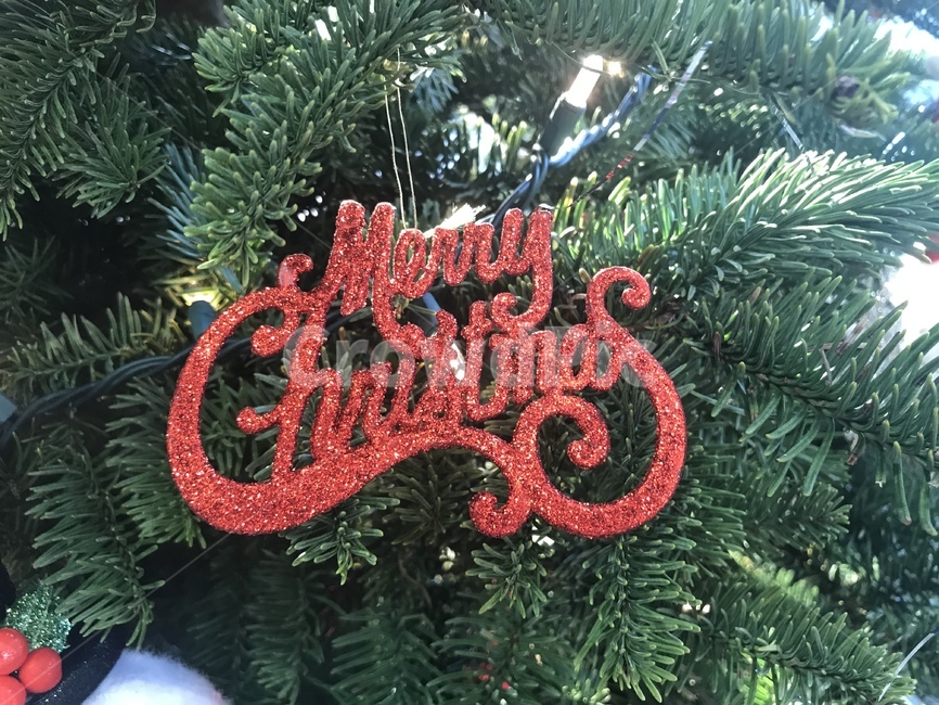 plant,식물,tree,나무,ornament,장식,겨울,winter,메리크리스마스,merrychristmas,나무장식,반짝이,흘림체,휴일,연휴,나무끝,나무가지,red,빨강,빨간,빨간글씨,글씨,letter,redletter,cursivewriting,happy,happyholidays,전나무