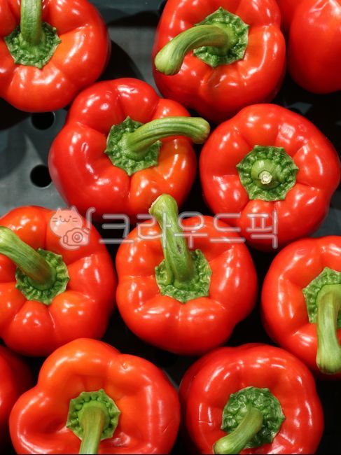 음식재료,파프리카,빨간파프리카,채소,vegetable,bellpepper,피망,food,음식