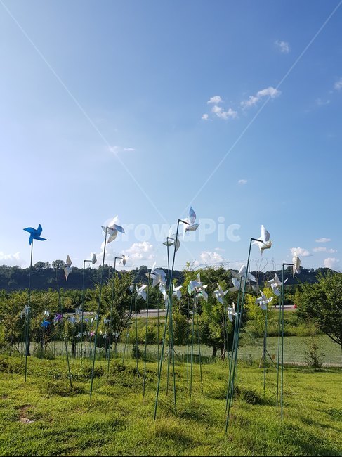 바람개비,초원,하늘,피크닉,배경화면,파주,나들이