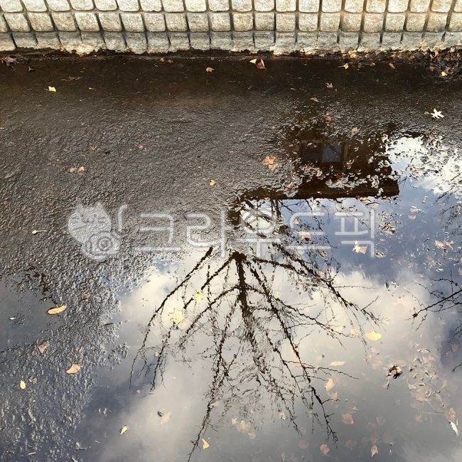 shadow,tree,winter,ice,water,wave,reflect,reflected in the water,sight,landscape