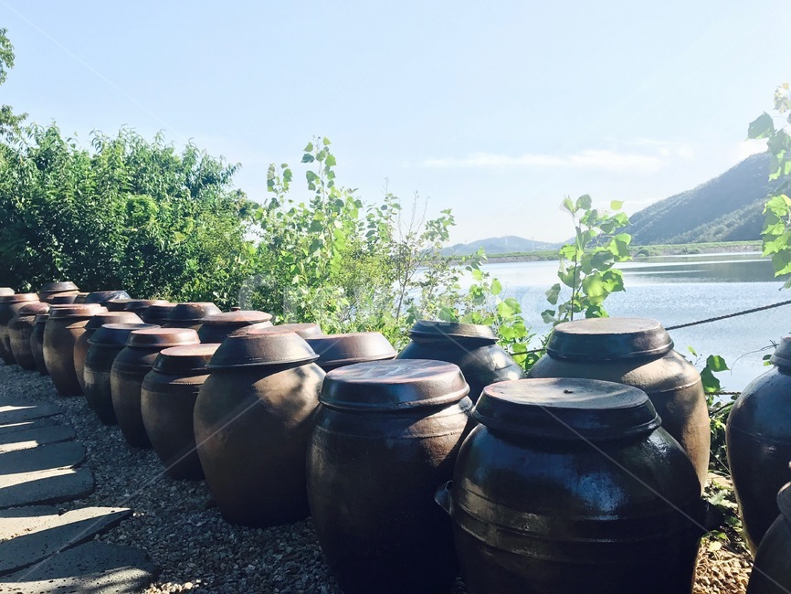 장독대,저수지,호수,나무,그림자,가을,한국전통,한국문화,korean traditional,korean culture