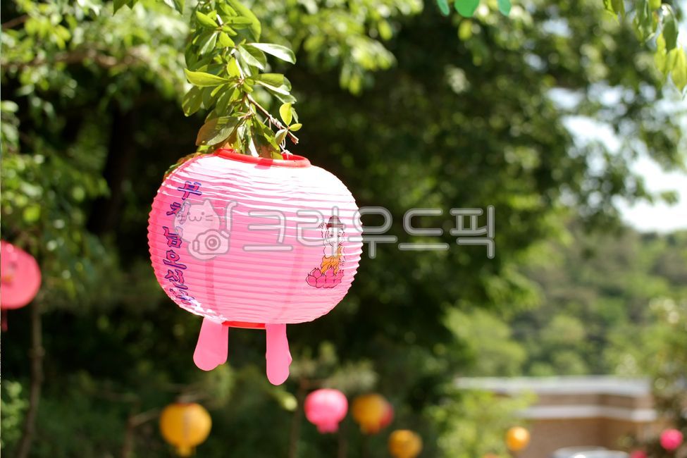 lantern,Buddha's birthday,nature,landscape,background,scenery,Buddha,holiday,calendar,lantern,Buddha,Buddha's birthday