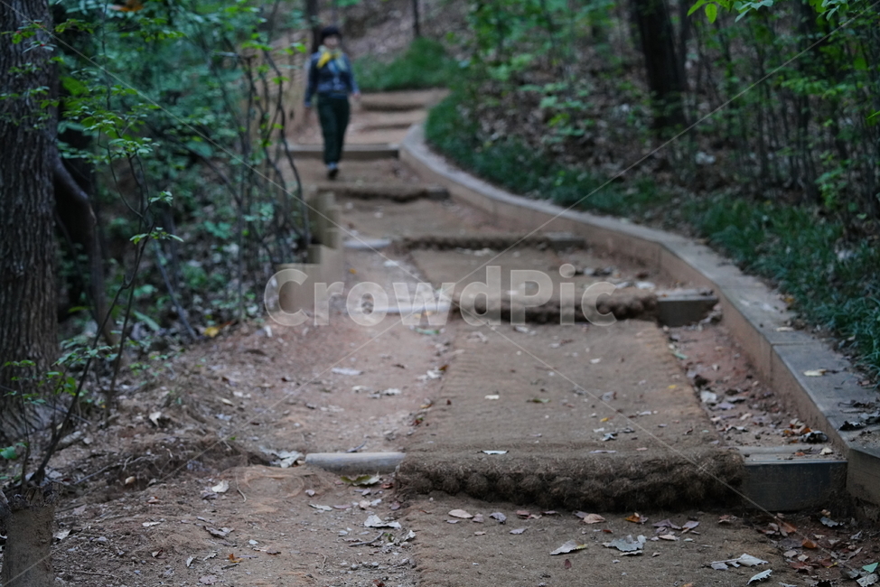 길,산책,등산로,road,자연,숲,산보,흙,땅,통로,자연,풍경,nature,landscape