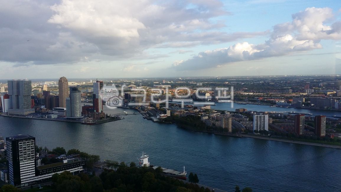 Rotterdam,Netherlands,rotterdam,nature,netherlands,aerialview,view map