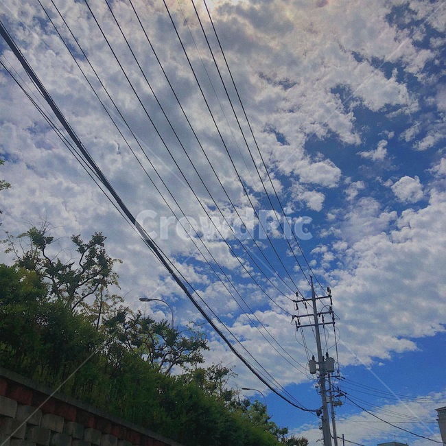 하늘,구름,나무,sky,cloud