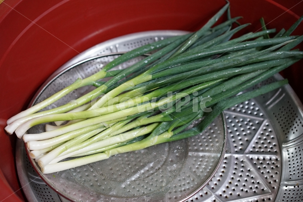 파,야채,식재료,음식,대파,한국음식,음식,식재료,요리,food,cook,meal,dishes,food reserves,채소,야채,vegetables