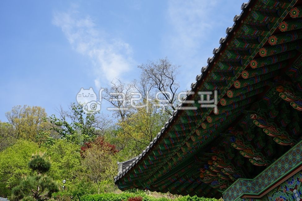 한옥,단청,한국전통,전통건축,건물,기와,처마,하늘,나무,잎,가지