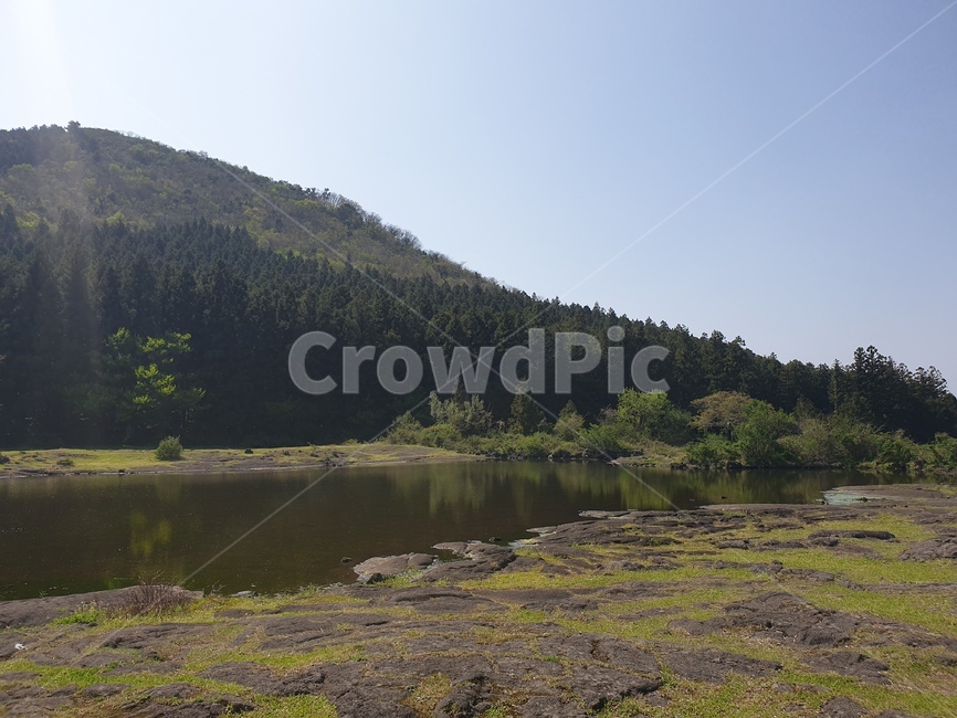 water,물,nature,자연,outdoors,옥외,land,땅,fir,전나무,plant,식물,tree,나무,abies,아비,자연,풍경,nature,landscape