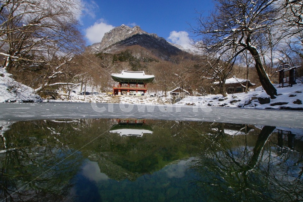 내장산,백양사,쌍계루,설경,국립공원,겨울,계절,winter,season,자연,풍경,nature,landscape,한국자연풍경,한국자연경관,korea nature landscape,outdoors,옥외