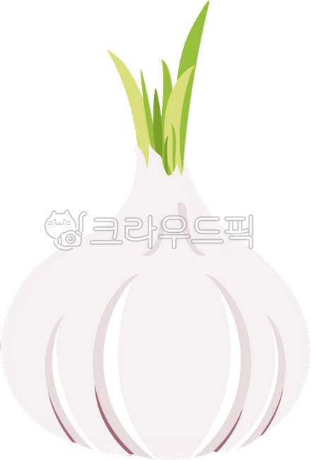 Garlic,garlic,pickled garlic,roasted garlic,garlic stalks,garlic sprouts,garlic shoots,garlic illustration,spices,peeled garlic,six-clove garlic,whole garlic,fresh garlic,vegetables,vegetables,raw garlic,illustration,kimchi ingredients,k