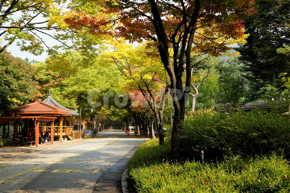 초가을,동물원,가을,자연,나무,zoo,autumn,fall,trees,소품,visit,picnic,가을,계절,fall,autumn,season,사람들,대중,군중,other people,crowd,tree,plant,식물