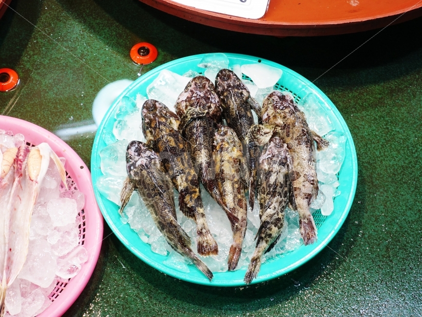 수산물,식재료,물고기,수산시장,어류,시장,장터,어시장,맛있는,재료,생활,음식,식재료,요리,food,cook,meal,dishes,food reserves,수산물,해산물,fishery products,seafood