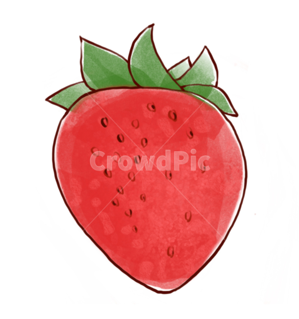 fruit,strawberry,과일,딸기,food,식물,plant,음식,딸기일러스트,과일일러스트,딸기그림,딸기손그림,음식일러스트,과일,열매,fruit,그래픽,일러스트레이션,graphic,illustration
