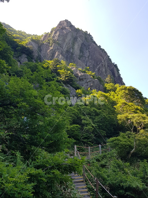 배경화면,자연풍경,경치,한라산,자연배경,등산,나무,산,등산길,제주도,한라산등산,여름,가을,하늘,자연,배경,풍경,멋진경치,nature,언덕,hill,옥외
