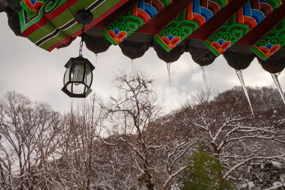 전통,전등,사찰,사찰풍경,겨울,한국전통,한국문화,겨울풍경,겨울,계절,winter,season,한국전통,한국문화,korean traditional,korean culture,건축물,건물외관,exterior,building,structure,architecture,construction