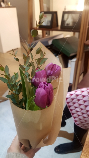꽃,식물,분홍,액자,분위기,식물,자연,plants,nature,꽃,flower,기념일,축하,anniversary,congratulation,celebrate,celebration
