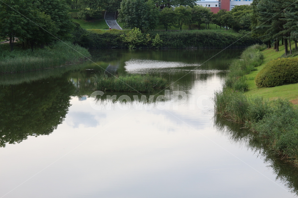 호수,물가,수풀,녹색,물,자연,자연,풍경,nature,landscape,water,outdoors,옥외
