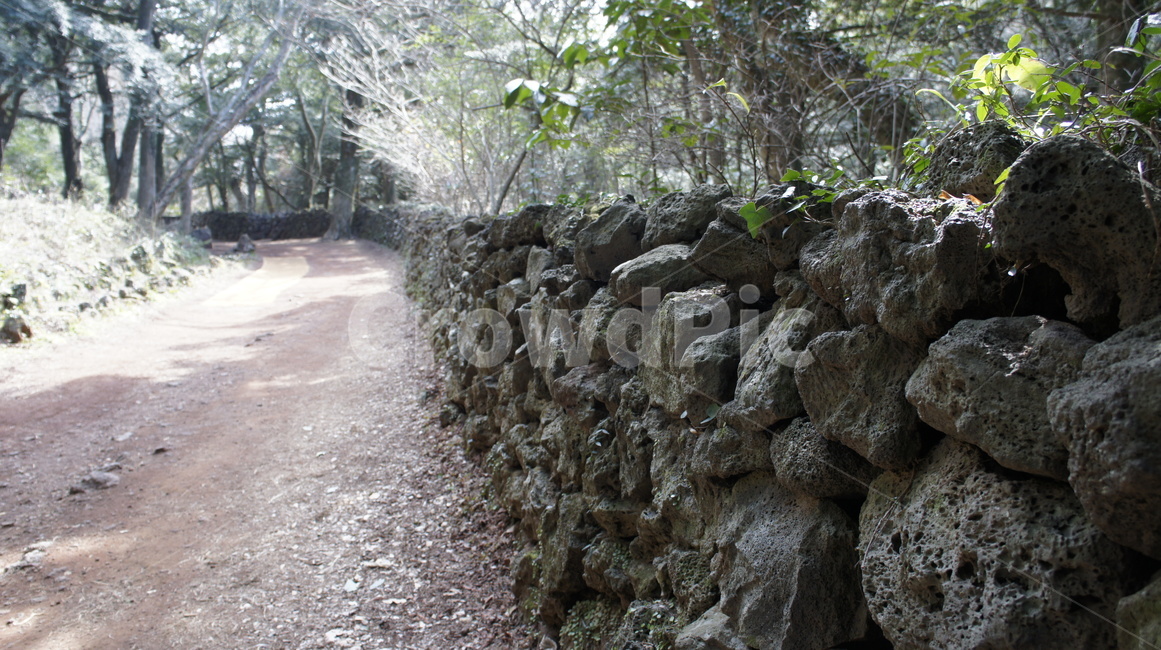 돌담,현무암,제주,자연,흙길,시골길,숲길,jeju,jejuisland,stonewall,rural,path,제주도,jeju,jeju island,wall,벽