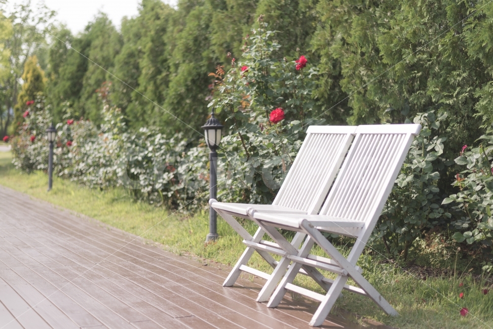 atmosphere,landscape photography,chair,Rose,garden,Suncheon Bay National Garden,Emotional photo