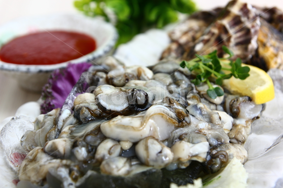 석화,굴,생굴,해산물,조개,신선,싱싱,음식,식품,dish,oysters,seafood,shellfish,fresh,crispy,food,음식,식재료,요리,food,cook,meal,dishes,food reserves,수산물,해산물,fishery products,seafood