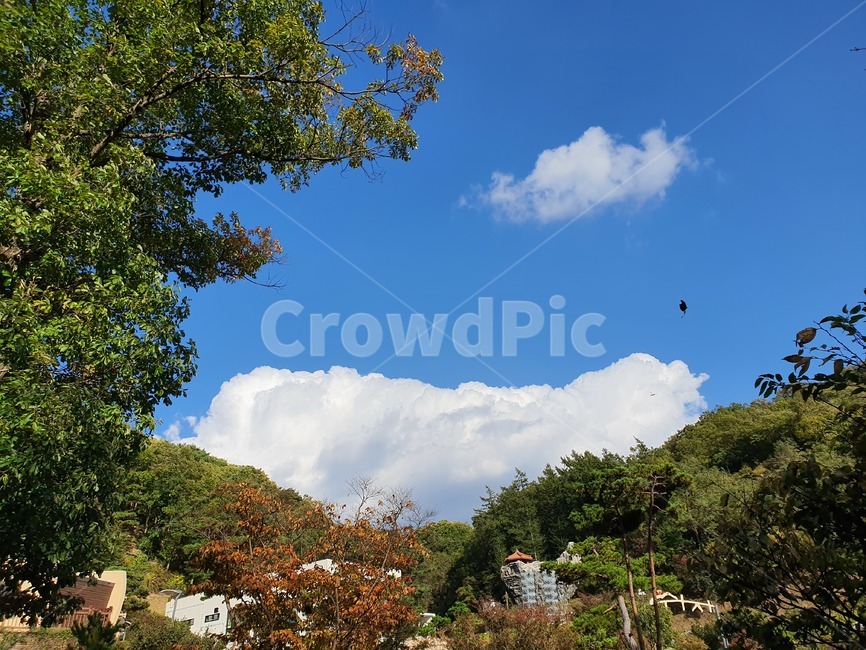 outdoors,옥외,nature,자연,뭉개구름,구름,단풍
