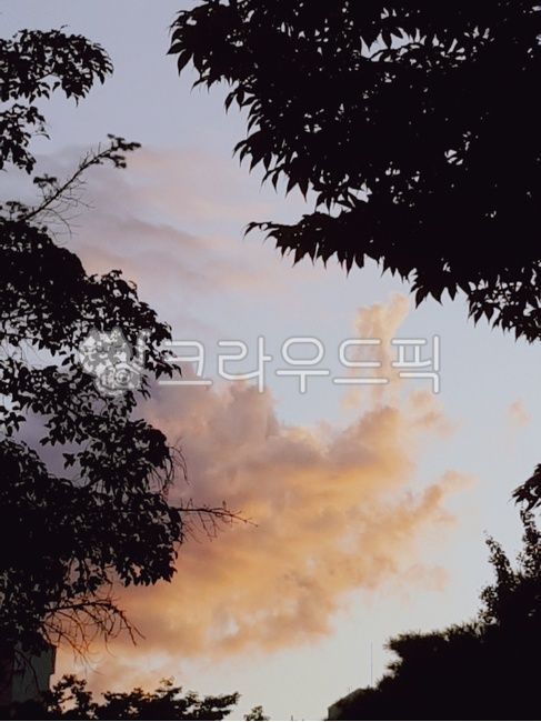 sky,cloud,pretty background,At sunset,nature