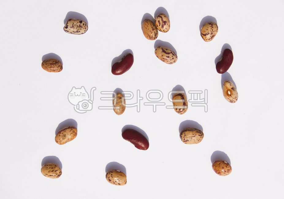 pattern,white background,collected,crops,top angle,stain,red,Food Ingredients,ingredients,grain,bean,tower,top view,Fruit,nature,tiger kidney beans,brown,many,food,grains,Red,tiger bean,plant,pulse,collect