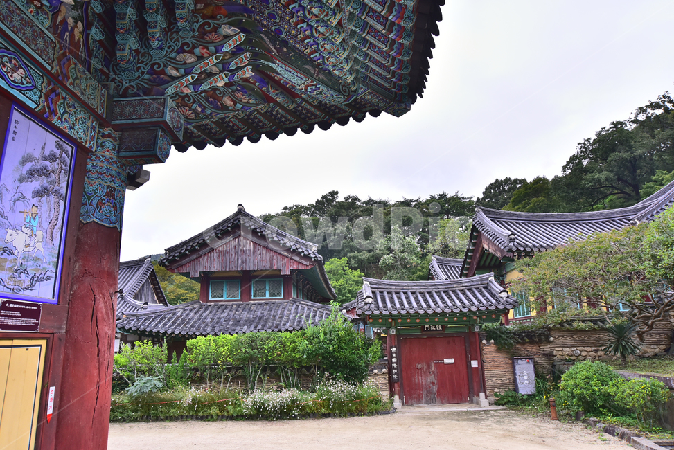 한국전통,송광사,절,절집,사찰,대찰,불교건축물,전통양식,단청,처마,기와집,기와지붕,템플,building,temple,건물,architecture,건축물,한국적,코리안,아시안,불교문화,배경,바탕,백그라운드,background
