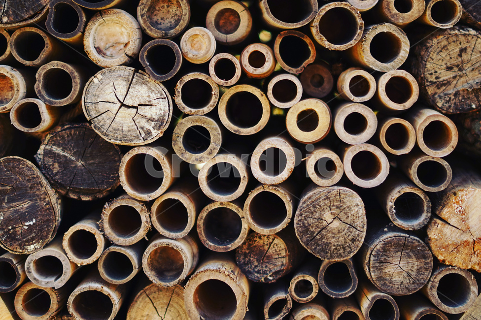 복잡함,구멍뚤린나무,나무,통나무,어지러움,나무,trees,wood