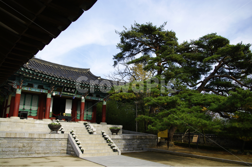 오죽헌,사당,신사임당,기와,지붕,기와지붕,한국,전통가옥,한국전통,한국문화,korean traditional,korean culture,랜드마크,landmark,tourist attraction,한국랜드마크,한국관광지,한국명소,korea landmark,korea tourist attraction,건축물,건물외관,exterior,building,structure,architecture,construction