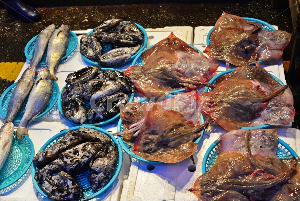 lobster,market,시장,sealife,해양생물,seafood,해물,food,animal,동물,헤산물,수산물,식재료,음식,수산시장,간재미,조기,쭈구미,시장,마트,마켓,market,mart,market place