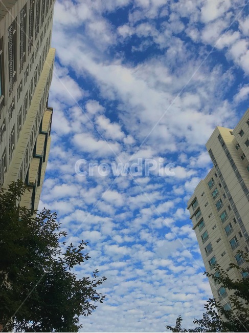 하늘,구름,파란색,sky,cloud,blue