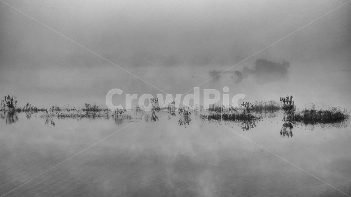 물안개,안개,호수,풍경,아침풍경,용담호,nature,자연,자연,풍경,nature,landscape