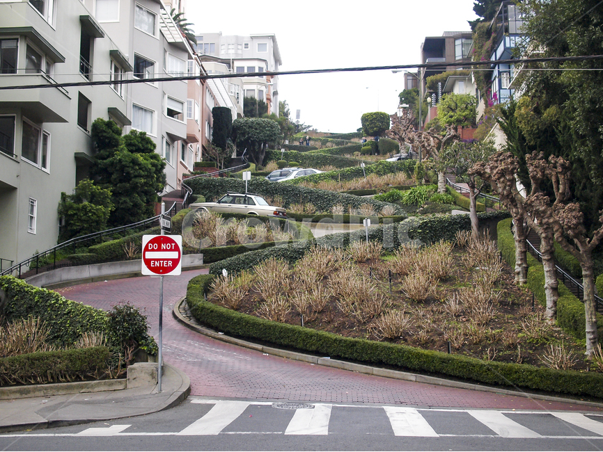 관광지,길,언덕길,샌프란시스코,미국,자동차,언덕,hill,정원,가든,도시,풍경,city,landscape,해외,외국,세계,foreign,oversea,world,세계도시풍경,해외도시풍경,외국도시풍경,world cityscape,road,도로,asphalt,아스팔트
