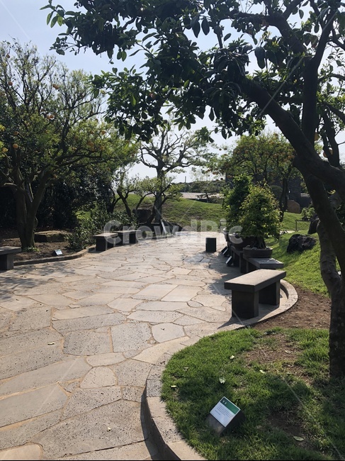 제주도,제주,생각하는정원,길,나무,녹색,자연,풍경,nature,landscape