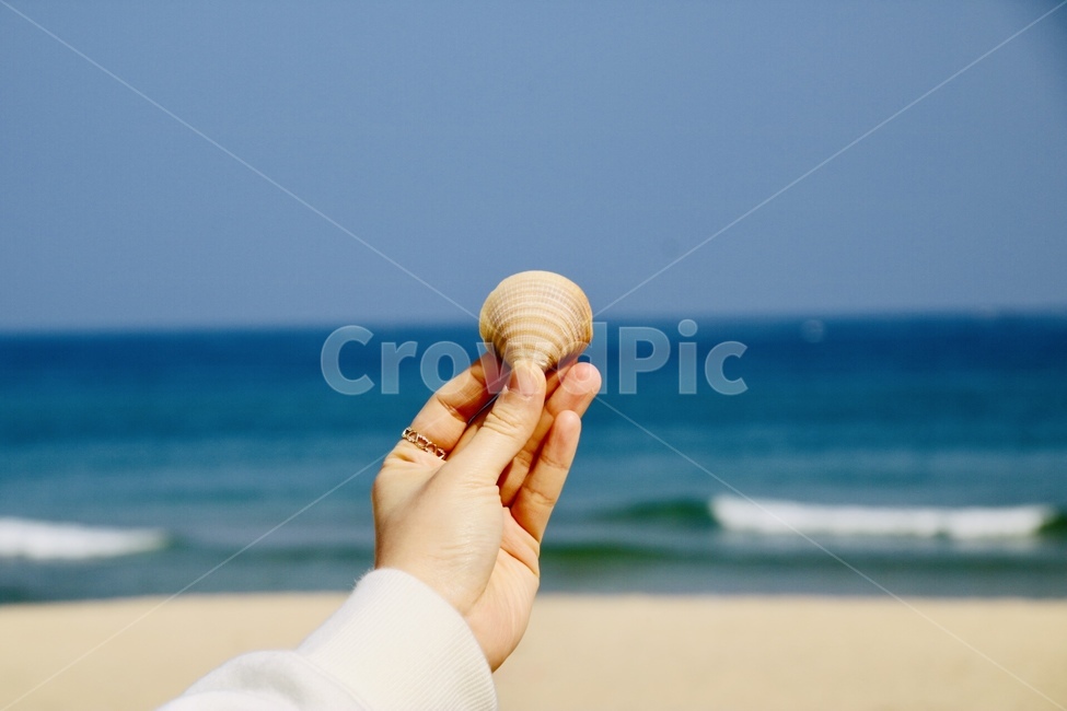 겨울바다,동해,조개,일상,여행,해변,바다,beach,sea