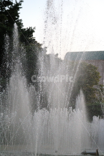 분수,분수대,물,공원,예술의전당,나무,소나무,자연,풍경,nature,landscape,water,fountain
