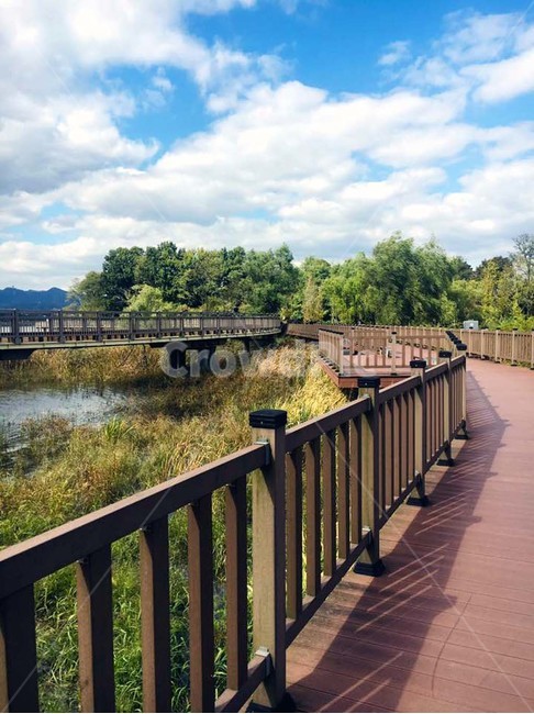 railing,handrail,난간,banister,산책
