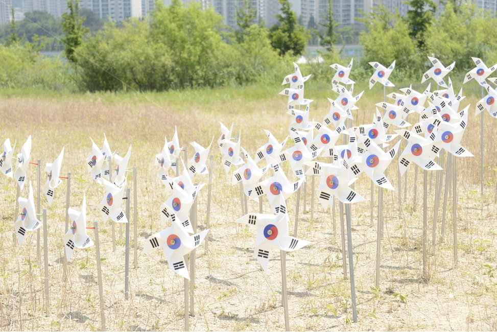 바람개비,태극기,바람,애국심,벌판,들판,야외,날씨,행사,깃발,대한민국,나라,조국