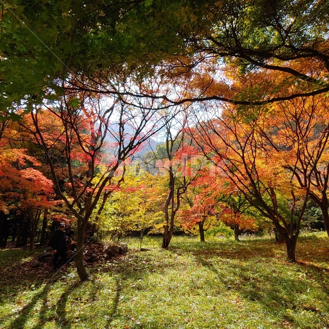 산,풍경,단풍,자연,가을